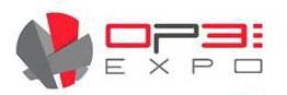  Ms. Tatyana Goryacheva / Head of Expo Division